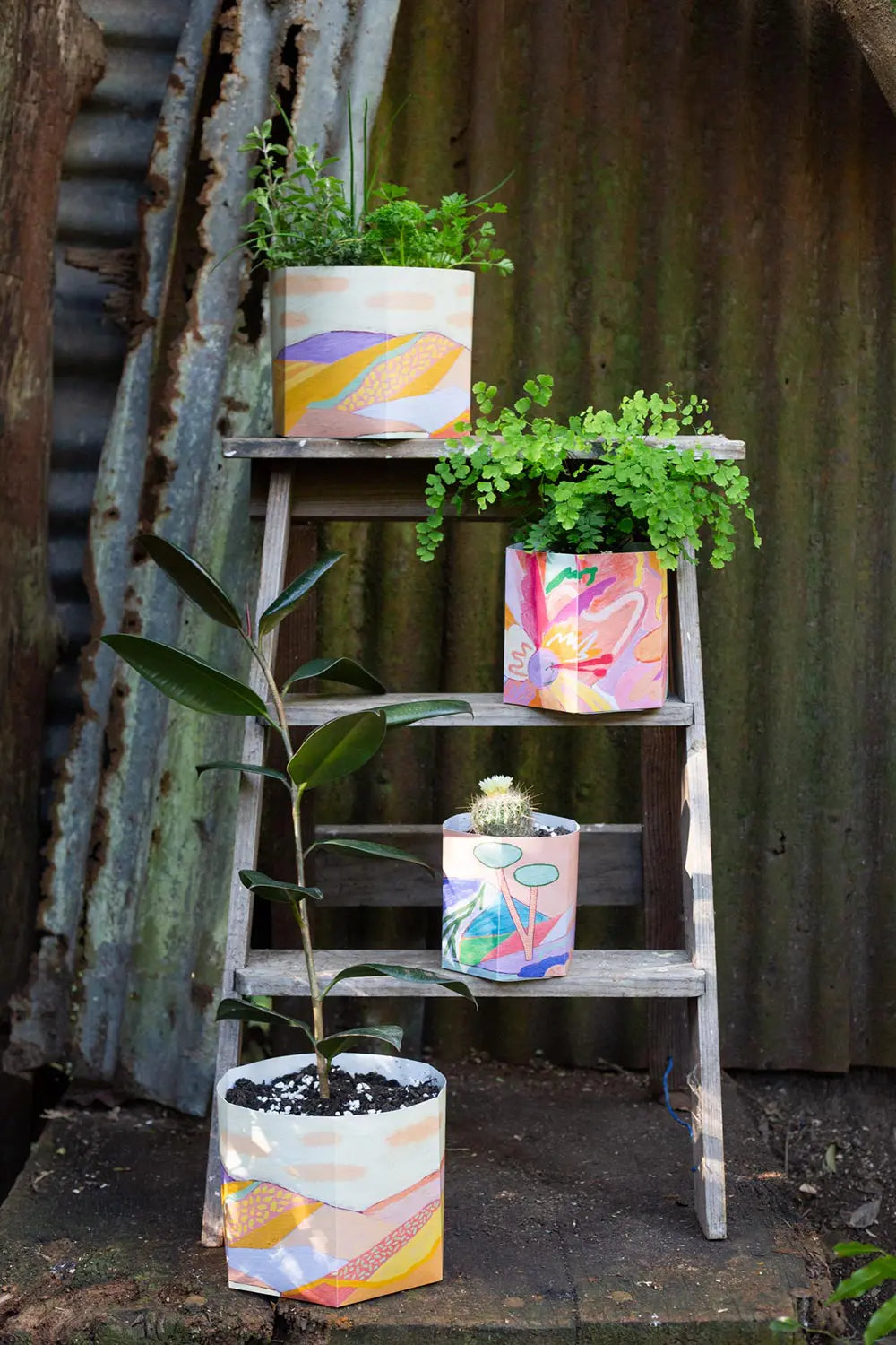 Pack of 3 Pop Up Pot pack
